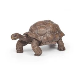 Figurine Tortue D’Hermann