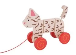 Chat à Tirer En Bois